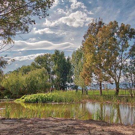 La Illeta Villa Deltebre Kültér fotó
