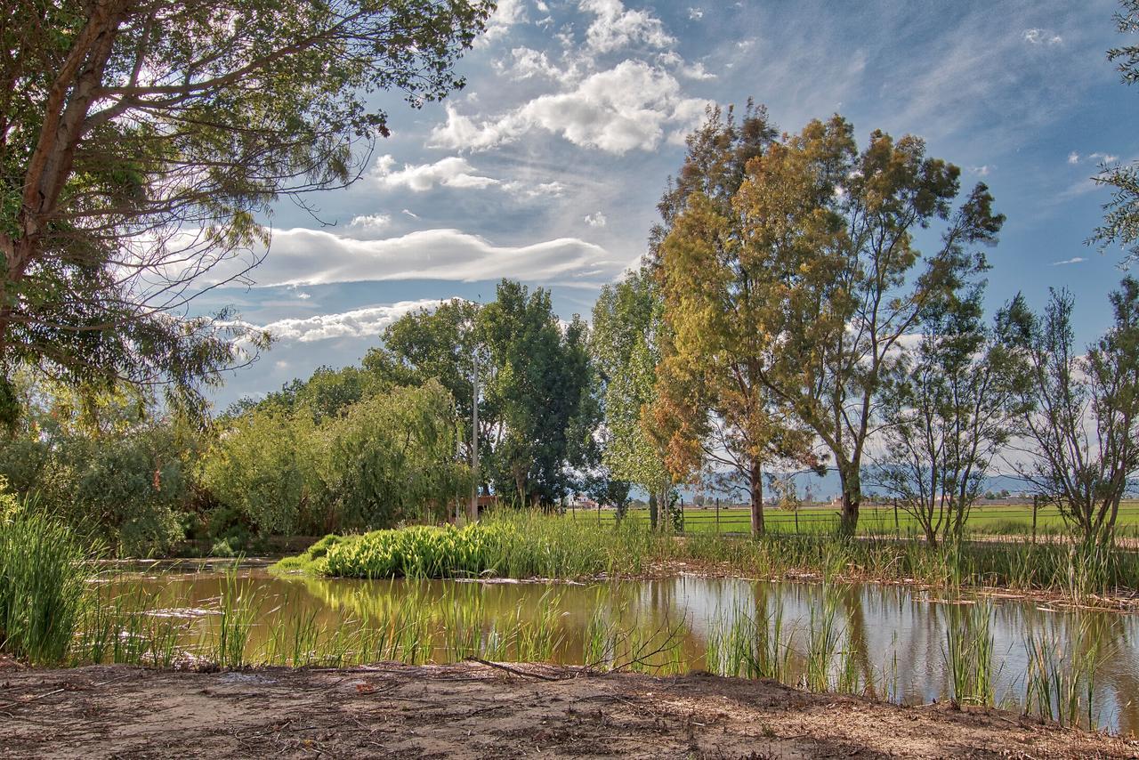 La Illeta Villa Deltebre Kültér fotó