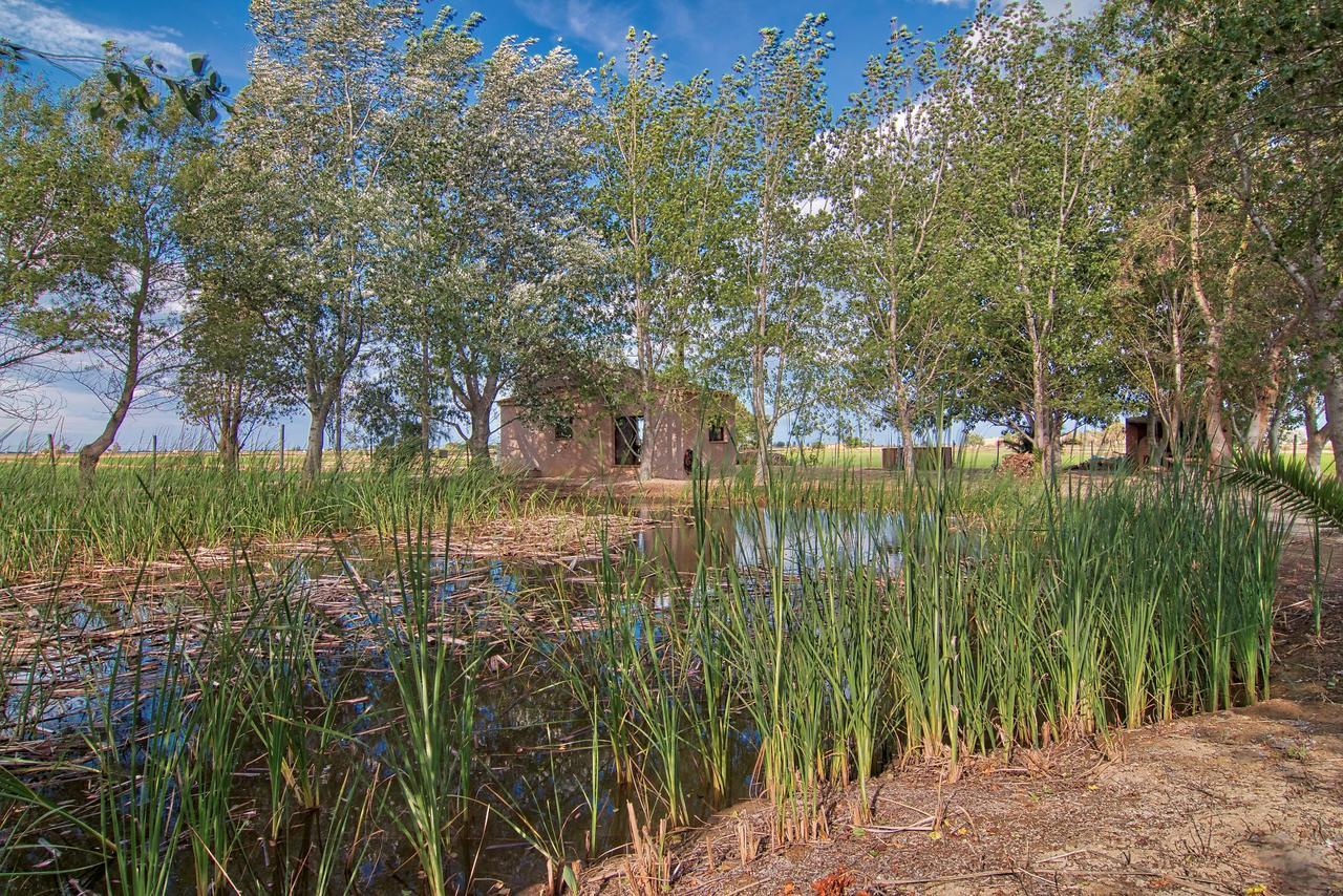 La Illeta Villa Deltebre Kültér fotó